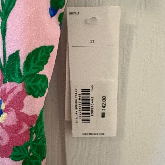 Janie And Jack Floral Ruffle Swimsuit - Picture 2 of 8